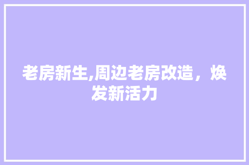 老房新生,周边老房改造，焕发新活力