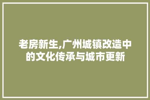 老房新生,广州城镇改造中的文化传承与城市更新