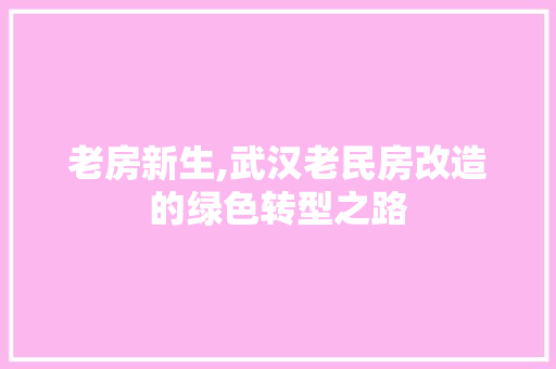 老房新生,武汉老民房改造的绿色转型之路
