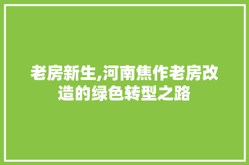 老房新生,河南焦作老房改造的绿色转型之路