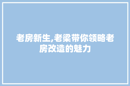 老房新生,老梁带你领略老房改造的魅力