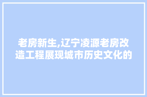 老房新生,辽宁凌源老房改造工程展现城市历史文化的传承与创新 厨房维修