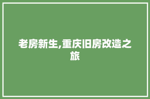 老房新生,重庆旧房改造之旅