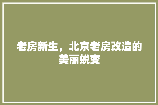 老房新生，北京老房改造的美丽蜕变