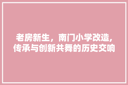老房新生，南门小学改造,传承与创新共舞的历史交响