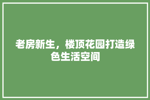 老房新生，楼顶花园打造绿色生活空间