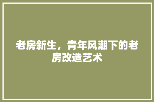 老房新生，青年风潮下的老房改造艺术