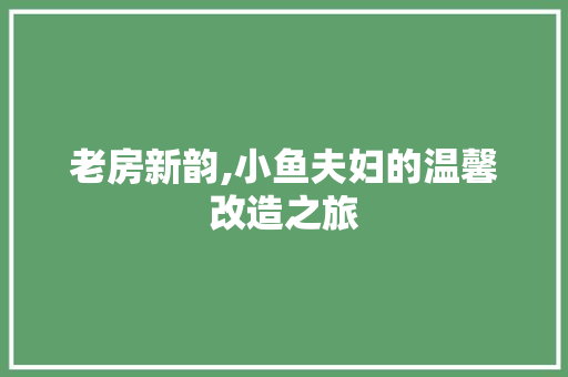 老房新韵,小鱼夫妇的温馨改造之旅