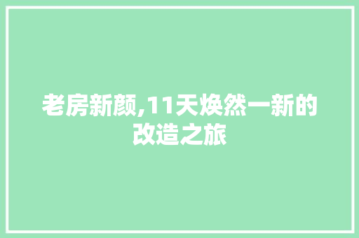老房新颜,11天焕然一新的改造之旅