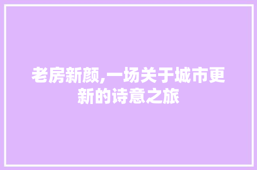 老房新颜,一场关于城市更新的诗意之旅