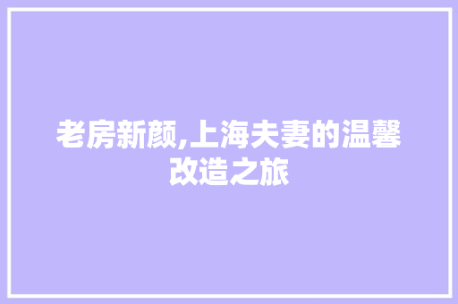 老房新颜,上海夫妻的温馨改造之旅