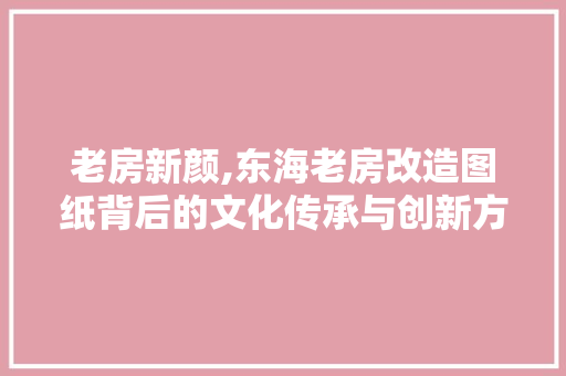 老房新颜,东海老房改造图纸背后的文化传承与创新方法