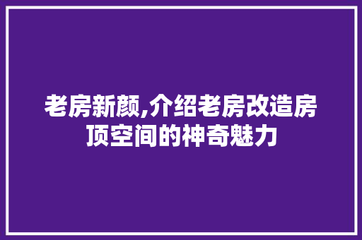 老房新颜,介绍老房改造房顶空间的神奇魅力