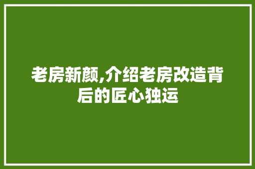 老房新颜,介绍老房改造背后的匠心独运