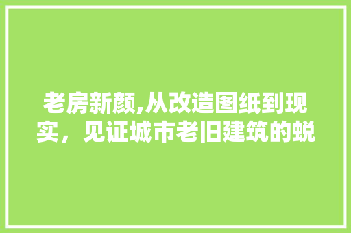 老房新颜,从改造图纸到现实，见证城市老旧建筑的蜕变