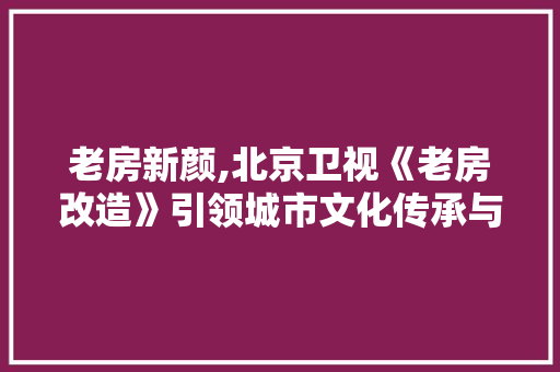 老房新颜,北京卫视《老房改造》引领城市文化传承与创新