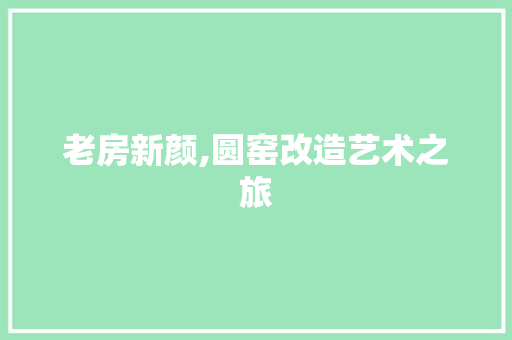 老房新颜,圆窑改造艺术之旅