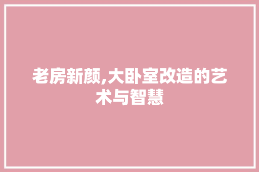 老房新颜,大卧室改造的艺术与智慧