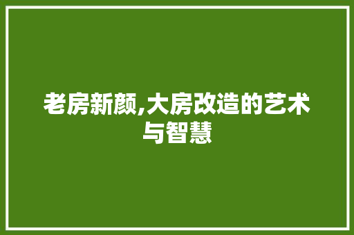 老房新颜,大房改造的艺术与智慧