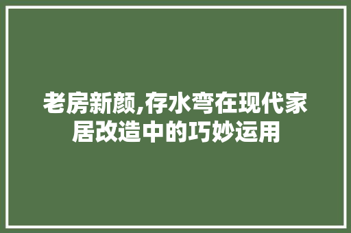 老房新颜,存水弯在现代家居改造中的巧妙运用