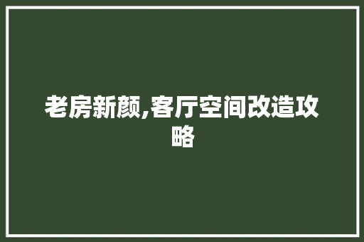 老房新颜,客厅空间改造攻略