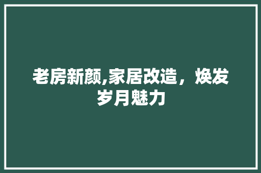 老房新颜,家居改造，焕发岁月魅力