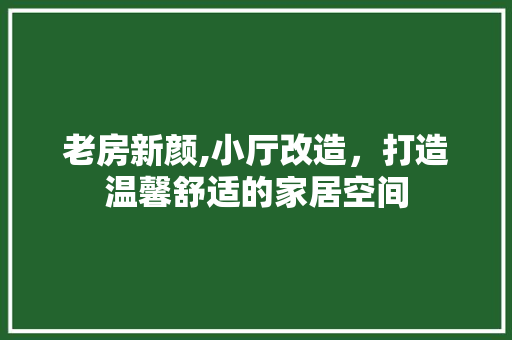 老房新颜,小厅改造，打造温馨舒适的家居空间 家电维修