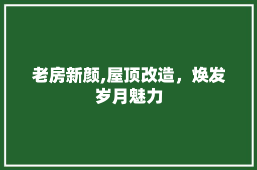 老房新颜,屋顶改造，焕发岁月魅力