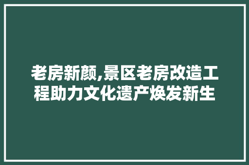老房新颜,景区老房改造工程助力文化遗产焕发新生
