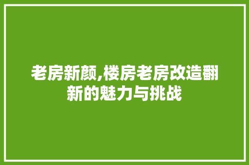 老房新颜,楼房老房改造翻新的魅力与挑战