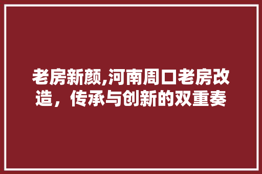 老房新颜,河南周口老房改造，传承与创新的双重奏