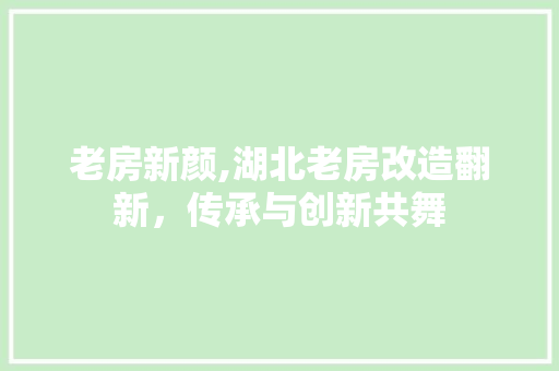 老房新颜,湖北老房改造翻新，传承与创新共舞