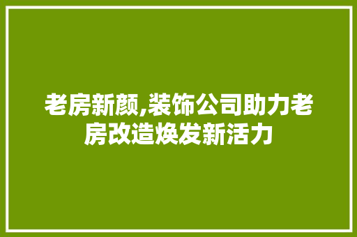 老房新颜,装饰公司助力老房改造焕发新活力