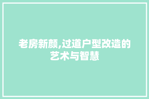 老房新颜,过道户型改造的艺术与智慧