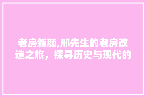 老房新颜,邢先生的老房改造之旅，探寻历史与现代的和谐共鸣