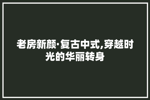 老房新颜·复古中式,穿越时光的华丽转身 墙体维修