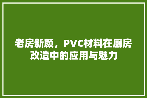 老房新颜，PVC材料在厨房改造中的应用与魅力