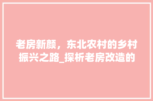 老房新颜，东北农村的乡村振兴之路_探析老房改造的魅力与机遇