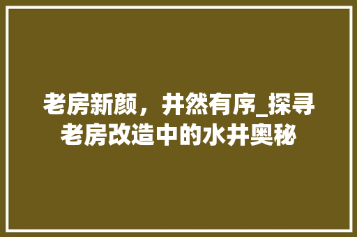 老房新颜，井然有序_探寻老房改造中的水井奥秘