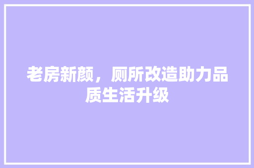 老房新颜，厕所改造助力品质生活升级