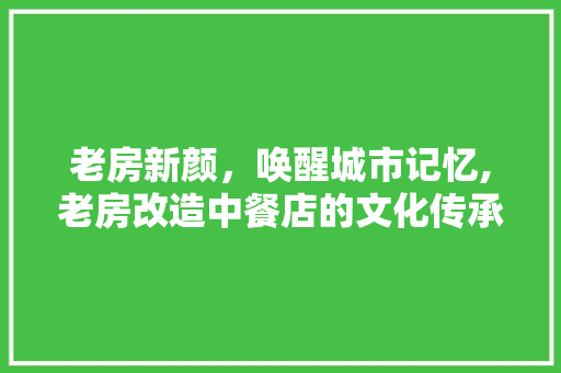 老房新颜，唤醒城市记忆,老房改造中餐店的文化传承与创新之路