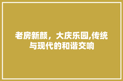 老房新颜，大庆乐园,传统与现代的和谐交响