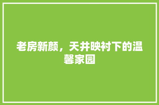 老房新颜，天井映衬下的温馨家园