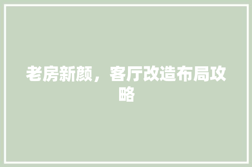 老房新颜，客厅改造布局攻略