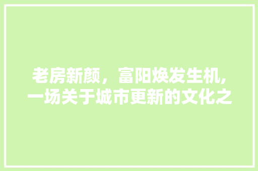 老房新颜，富阳焕发生机,一场关于城市更新的文化之旅