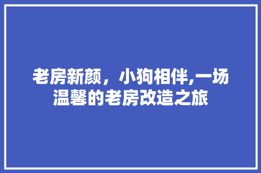 老房新颜，小狗相伴,一场温馨的老房改造之旅