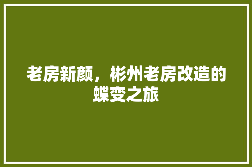 老房新颜，彬州老房改造的蝶变之旅