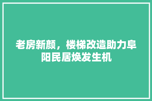 老房新颜，楼梯改造助力阜阳民居焕发生机