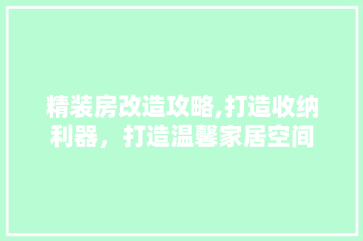 精装房改造攻略,打造收纳利器，打造温馨家居空间