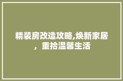 精装房改造攻略,焕新家居，重拾温馨生活